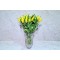 Yellow Tulip Crystal Vase