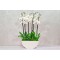 Boat shaped planter