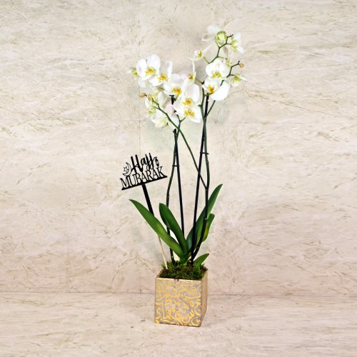 hajj mubarak flowers 9 hajj mubarak flowers 9