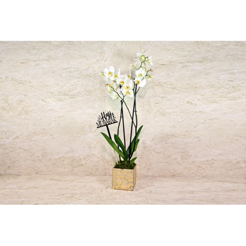 hajj mubarak flowers 9