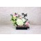 Thank You Gift 12