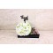 Thank You Gift 14