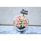 birthday 1227