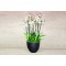 get well soon orchids 4