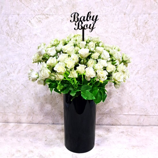 Baby Boy 2031 Baby Boy 2031