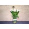 love you mom 2058