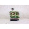 Mothers Day Gift 12