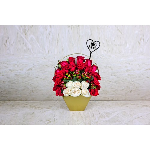 Mothers Day Gift 7