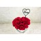 Valentine's Day 3