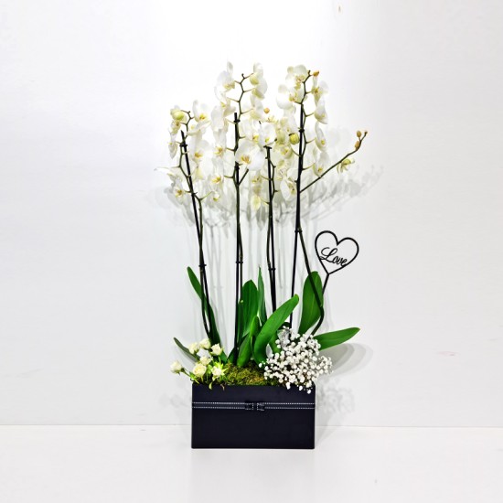 I Love You Flowers 24 I Love You Flowers 24