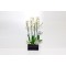 I Love You Flowers 24