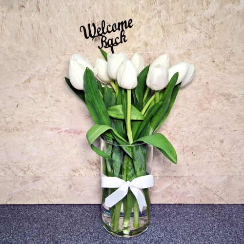 welcome back 2058 welcome back 2058