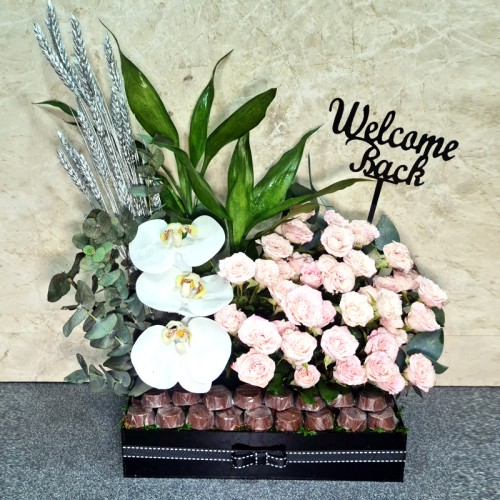 Welcome Back 4000 Welcome Back 4000