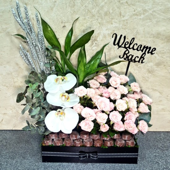 Welcome Back 4000
