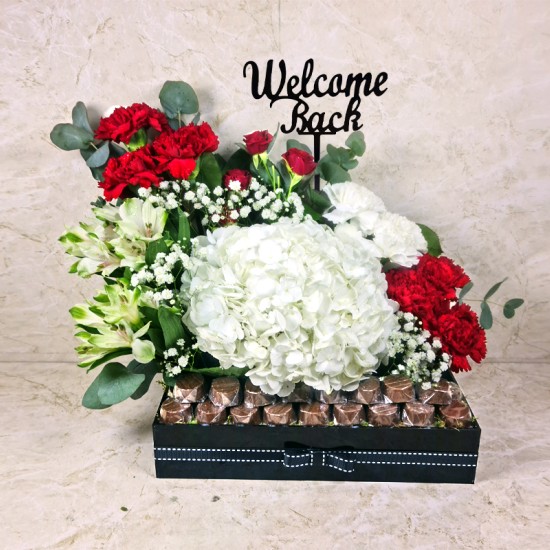 Welcome Back 24 Welcome Back 24