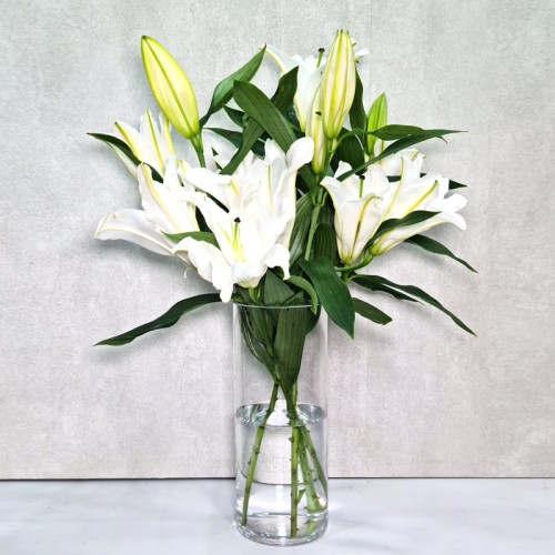 lily clear Vase 200 lily clear Vase 200