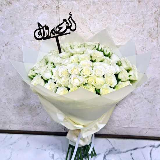 alf mabrook 2033 alf mabrook 2033