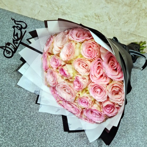 alf mabrook 3081