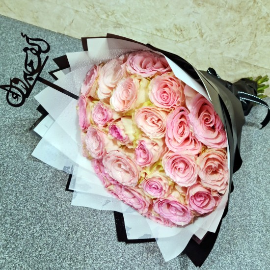alf mabrook 3081 alf mabrook 3081
