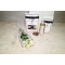 Single Baby Rose White With Gifts