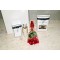 Single Baby Rose Red With Gifts
