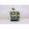 New Year Flowers 37
