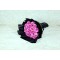 Pink Rose 25