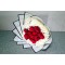 red spot bouquet