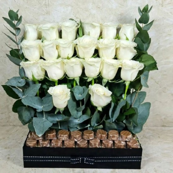 White Elegance White Elegance