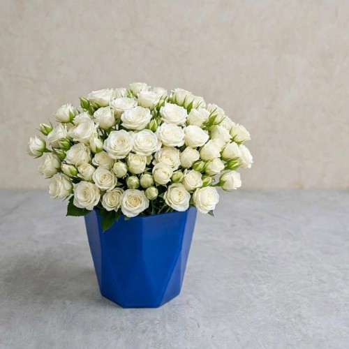 White Purity White Purity