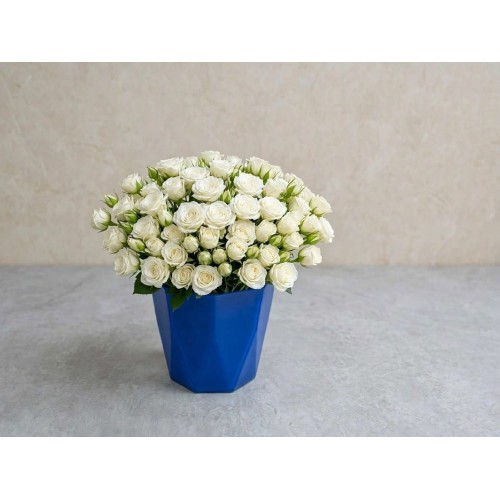 White Purity