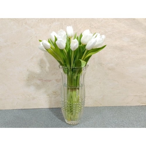 tulip white 2020