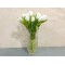 tulip white 2020