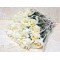 25 Pieces Single Roses White