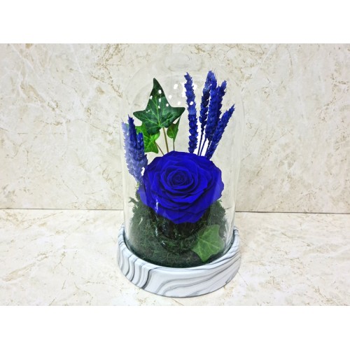 preserved rose blue