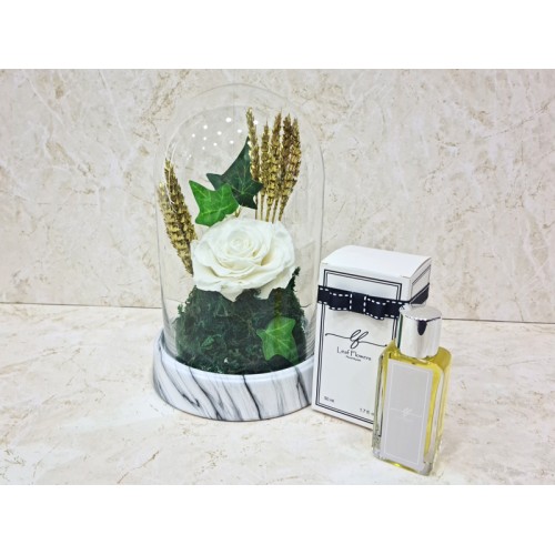 preserved rose White and perfume