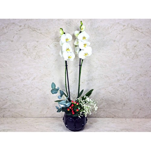 Orchid Plant In Face Vase 2