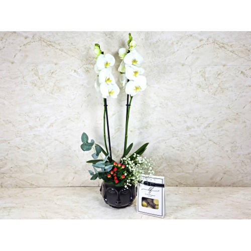 Orchid Plant In Face Vase 3
